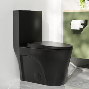 Ace 1.6 GPF Dual-Flush Toilet - Best Clearance Deal on Modern Elongated One-Piece Toilets with Glazed Surface