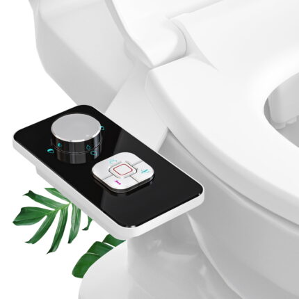 Bidet Toilet Seat - Unbeatable Bargain