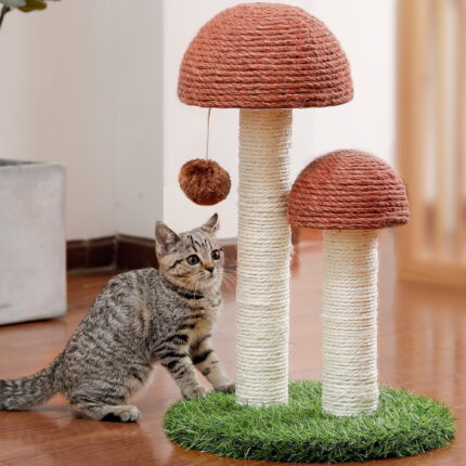 Cat Scratching Post - Limited Time Offer