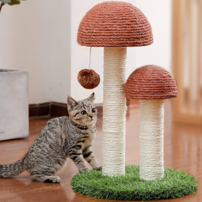 Cat Scratching Post - Limited Time Offer