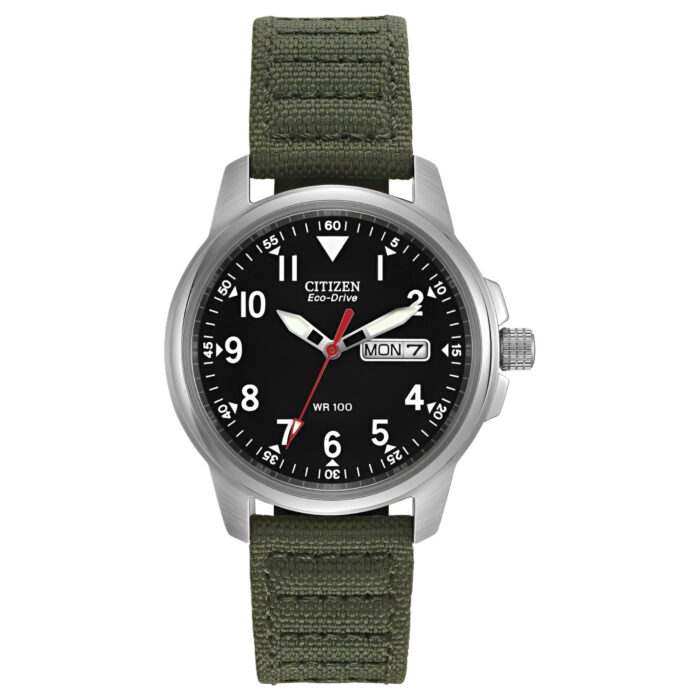 Citizen Eco-Drive Watch - Unbeatable Bargain on Eco-Friendly Timepieces
