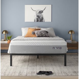 Nora 12 Medium Gel Memory Foam Mattress With Icy Cool Cover - Unbeatable Bargain on Cooling Comfort