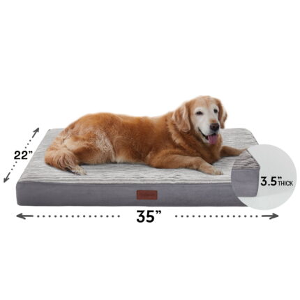 Orthopedic Dog Bed - Unbeatable Bargain in Pet Comfort