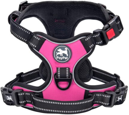 Reflective Dog Harness - Biggest Savings on High Visibility Dog
